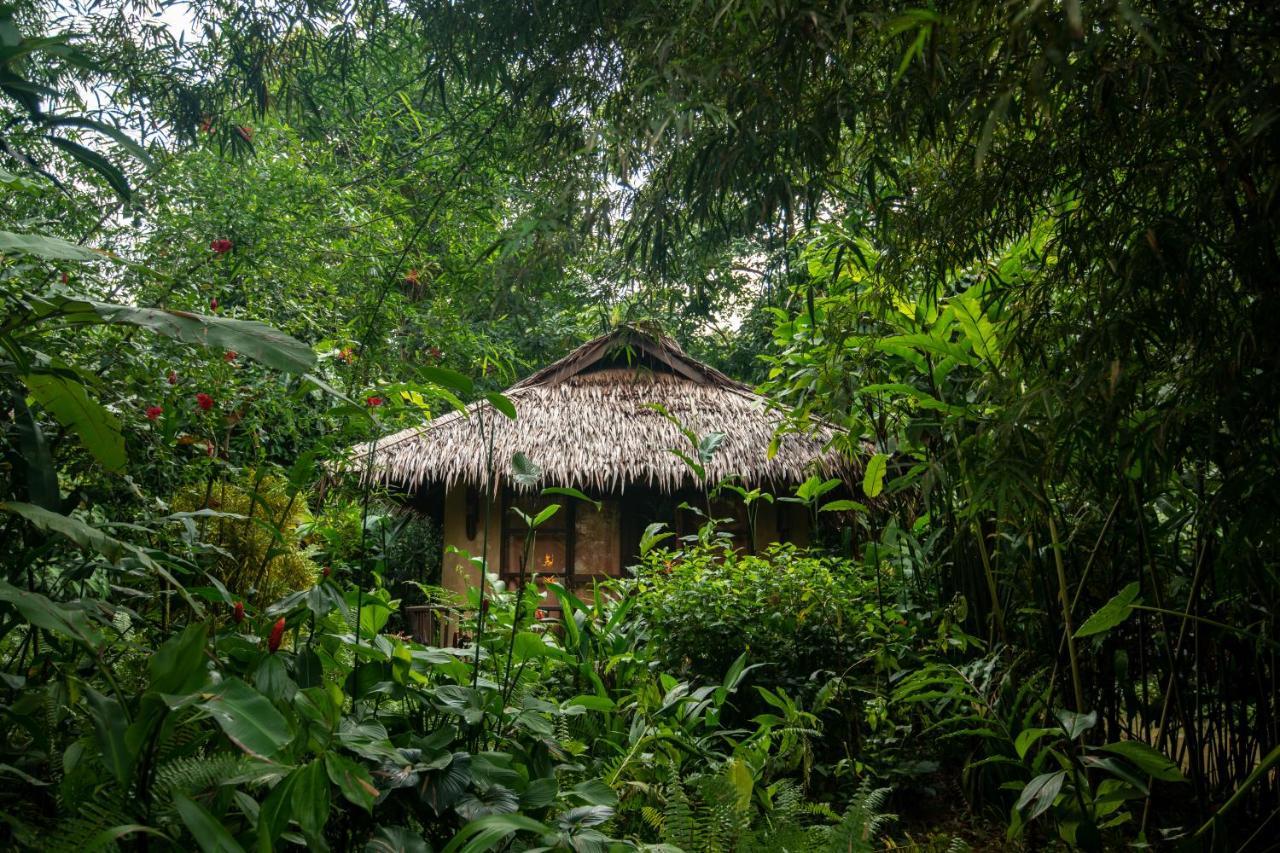 Our Jungle Camp - Eco Resort Phanom Buitenkant foto