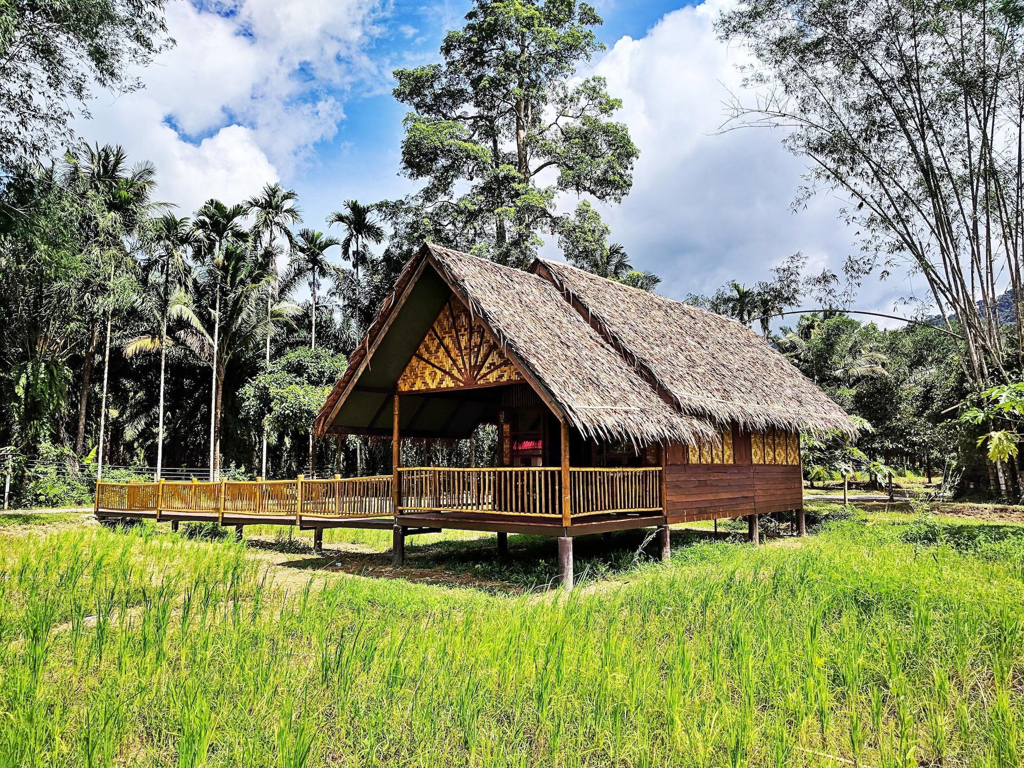Our Jungle Camp - Eco Resort Phanom Buitenkant foto