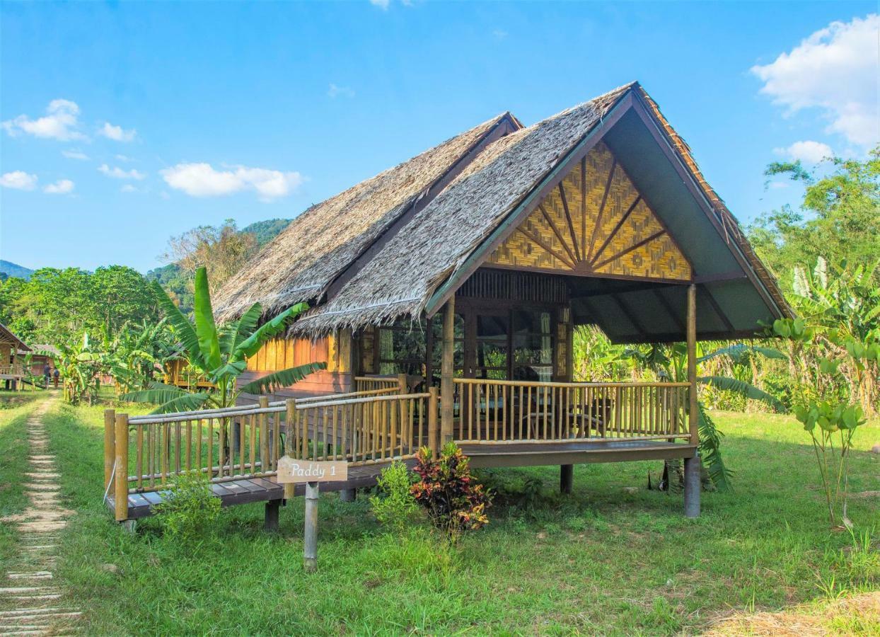 Our Jungle Camp - Eco Resort Phanom Buitenkant foto